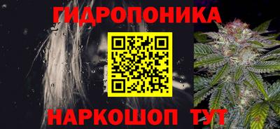 молекула духа Лесосибирск