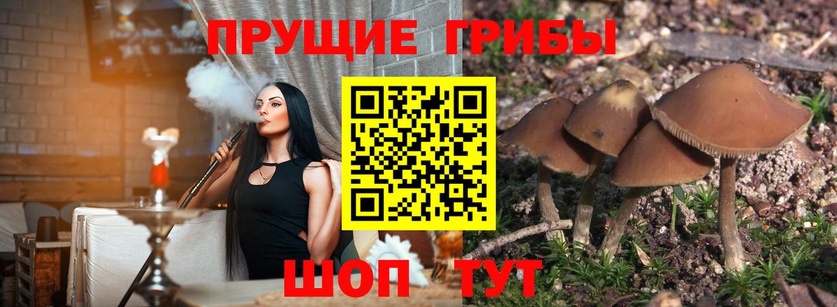 Псилоцибиновые грибы мухоморы Шали
